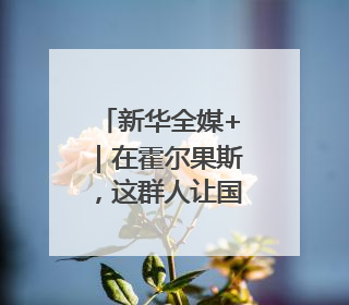 新华全媒+｜在霍尔果斯，这群人让国产新能源汽车“跑”向中亚