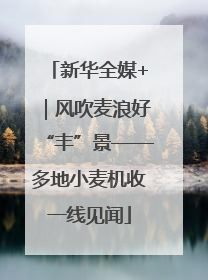 新华全媒+｜风吹麦浪好“丰”景——多地小麦机收一线见闻