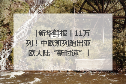 新华鲜报丨11万列！中欧班列跑出亚欧大陆“新时速”