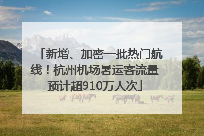 新增、加密一批热门航线！杭州机场暑运客流量预计超910万人次