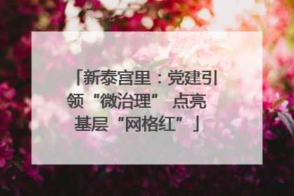 新泰宫里：党建引领“微治理” 点亮基层“网格红”