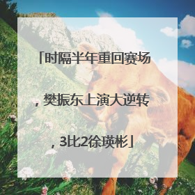 时隔半年重回赛场，樊振东上演大逆转，3比2徐瑛彬