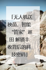 无人机送秧苗、智能“管家”巡田 解锁丰收背后的科技密码
