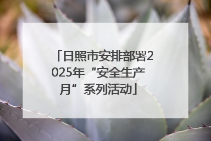 日照市安排部署2025年“安全生产月”系列活动