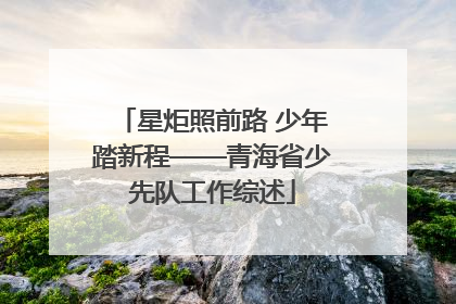 星炬照前路 少年踏新程——青海省少先队工作综述