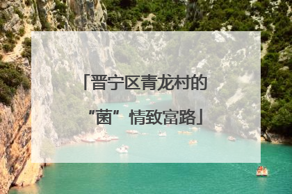 晋宁区青龙村的“菌”情致富路