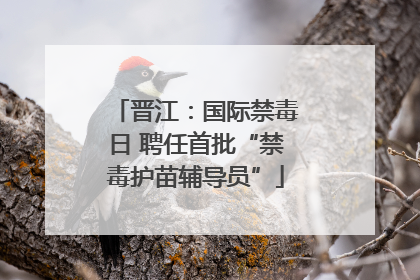 晋江：国际禁毒日 聘任首批“禁毒护苗辅导员”