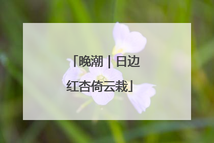 晚潮｜日边红杏倚云栽
