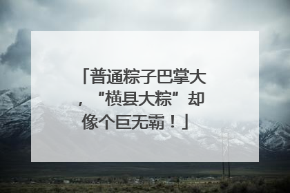 普通粽子巴掌大，“横县大粽”却像个巨无霸！