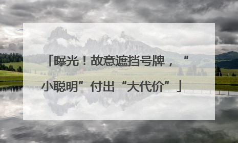 曝光！故意遮挡号牌，“小聪明”付出“大代价”