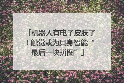 机器人有电子皮肤了！触觉或为具身智能“最后一块拼图”