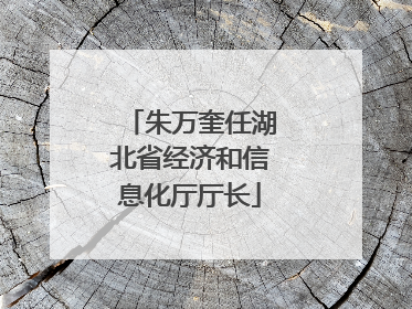 朱万奎任湖北省经济和信息化厅厅长