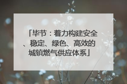 毕节：着力构建安全、稳定、绿色、高效的城镇燃气供应体系