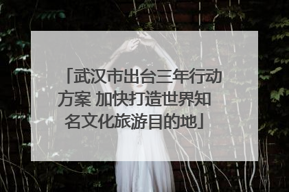 武汉市出台三年行动方案 加快打造世界知名文化旅游目的地