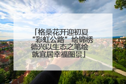 格桑花开迎初夏 “彩虹公路”绘锦绣 德兴以生态之笔绘就宜居幸福图景