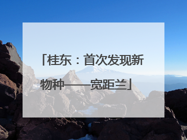 桂东：首次发现新物种——宽距兰
