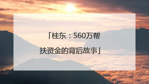 桂东：560万帮扶资金的背后故事