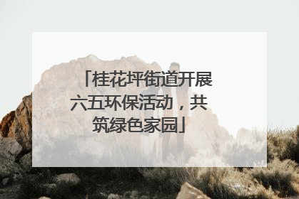 桂花坪街道开展六五环保活动，共筑绿色家园