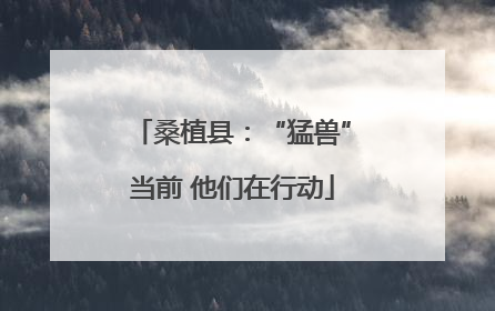 桑植县：“猛兽”当前 他们在行动