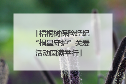 梧桐树保险经纪“桐星守护”关爱活动圆满举行