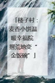 楼子村：麦香小饼温暖幸福院 撂荒地变“金饭碗”