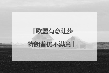 欧盟有意让步 特朗普仍不满意