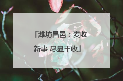 潍坊昌邑：麦收新事 尽显丰收