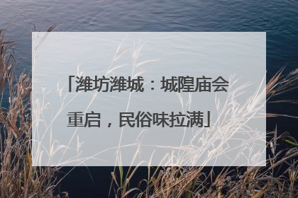 潍坊潍城：城隍庙会重启，民俗味拉满
