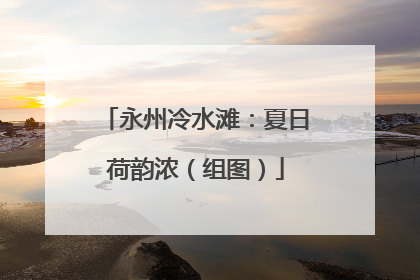 永州冷水滩：夏日荷韵浓（组图）