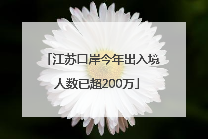 江苏口岸今年出入境人数已超200万