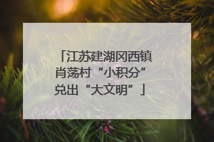 江苏建湖冈西镇肖荡村“小积分”兑出“大文明”