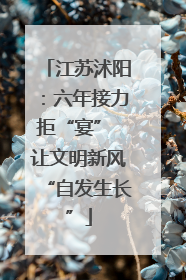 江苏沭阳：六年接力拒“宴” 让文明新风“自发生长”