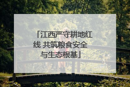 江西严守耕地红线 共筑粮食安全与生态根基