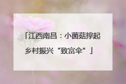 江西南昌：小菌菇撑起乡村振兴“致富伞”