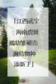 江西武宁：海南虎斑鳽幼雏破壳 濒危物种添新丁