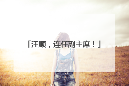 汪顺，连任副主席！