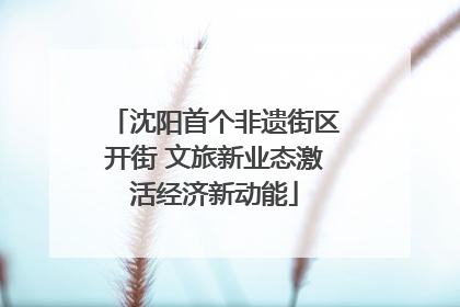 沈阳首个非遗街区开街 文旅新业态激活经济新动能