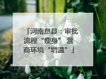 河南息县：审批流程“瘦身” 营商环境“增温”