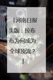 河南日报头版：拉布布为何成为全球顶流？