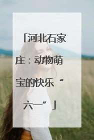 河北石家庄：动物萌宝的快乐“六一”