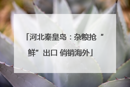 河北秦皇岛：杂粮抢“鲜”出口 俏销海外