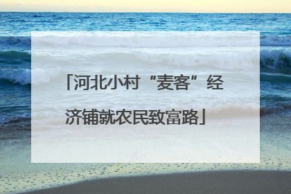 河北小村“麦客”经济铺就农民致富路