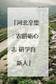 河北辛集：农耕砺心志 研学育新人