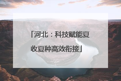河北：科技赋能夏收夏种高效衔接