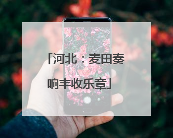 河北：麦田奏响丰收乐章