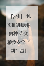 泾川：扎实推进复耕复种 夯实粮食安全“耕”基