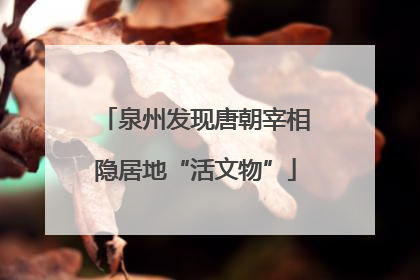 泉州发现唐朝宰相隐居地“活文物”