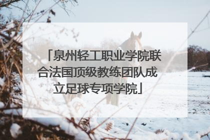 泉州轻工职业学院联合法国顶级教练团队成立足球专项学院