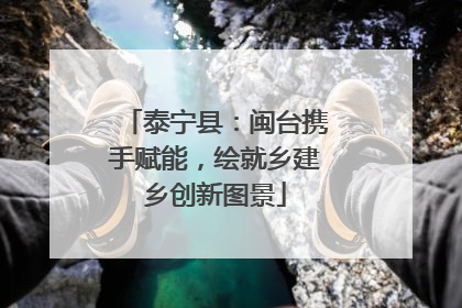 泰宁县：闽台携手赋能，绘就乡建乡创新图景
