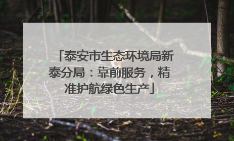 泰安市生态环境局新泰分局：靠前服务，精准护航绿色生产